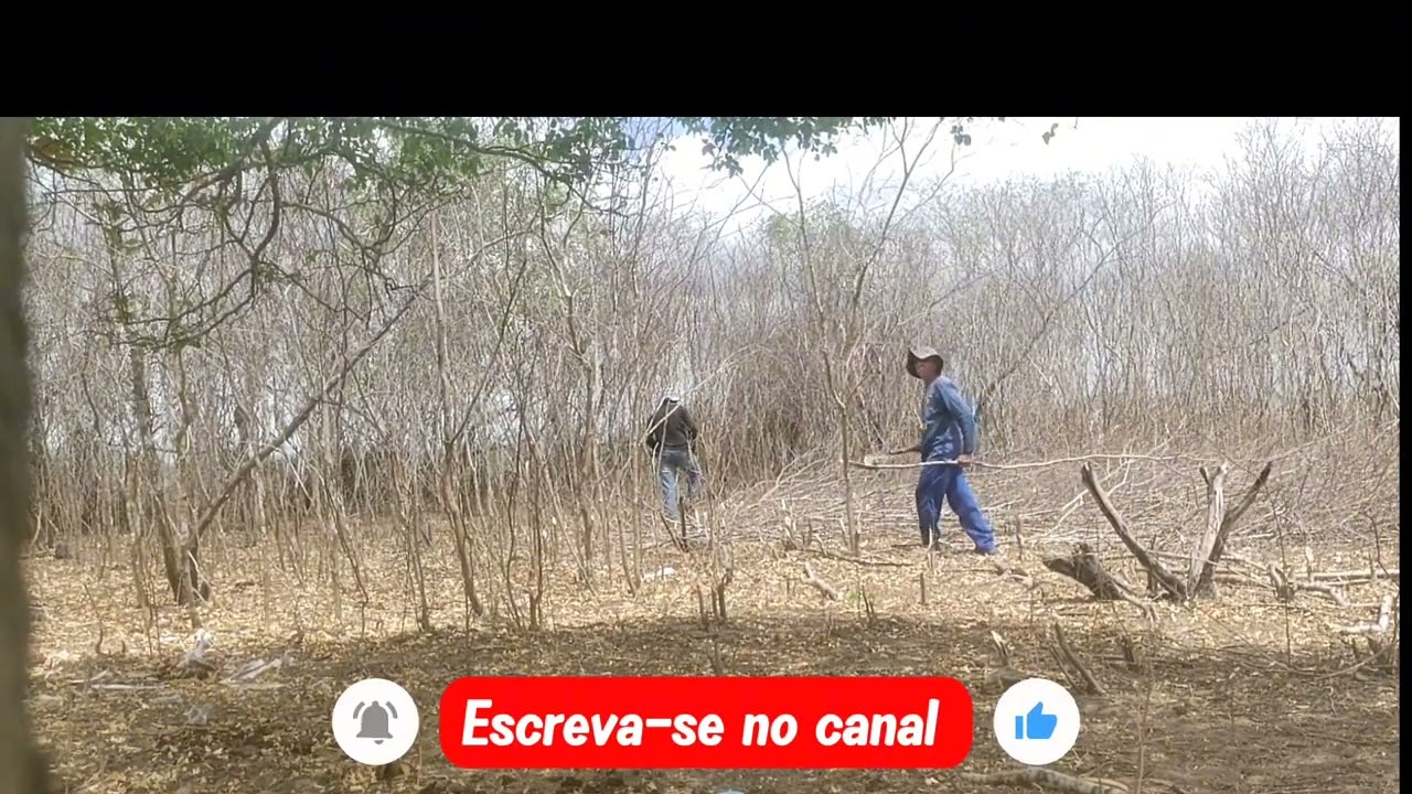 PREPARANDO A ROÇA PARA PLANTAR NO INVERNO.