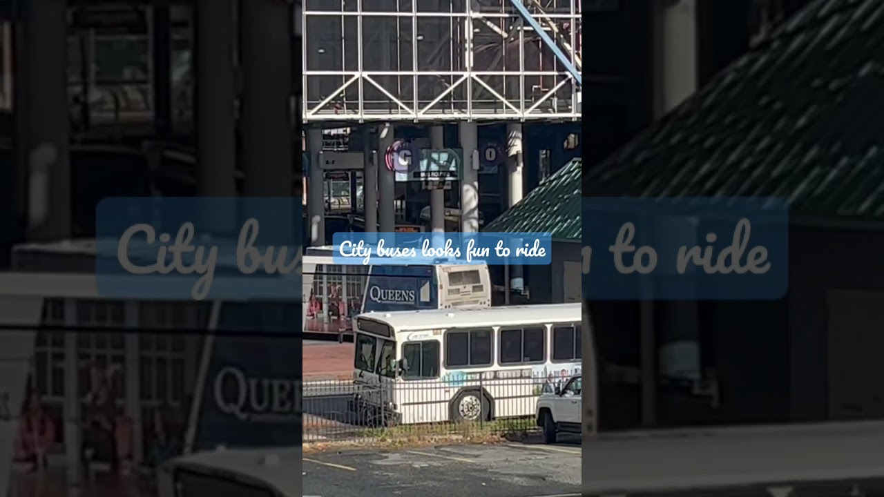 Charlotte City Bus observations 2022