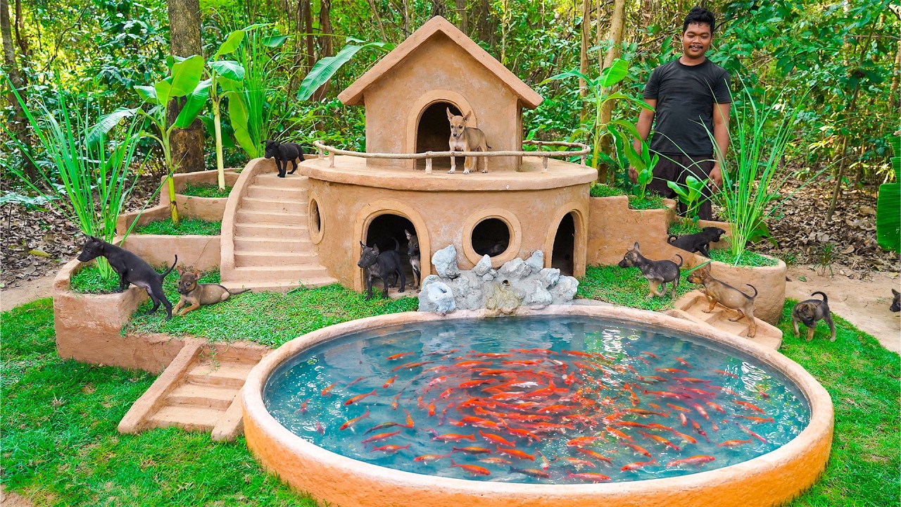 Building a Luxury Clay Puppy Mansion for Rescued Dogs