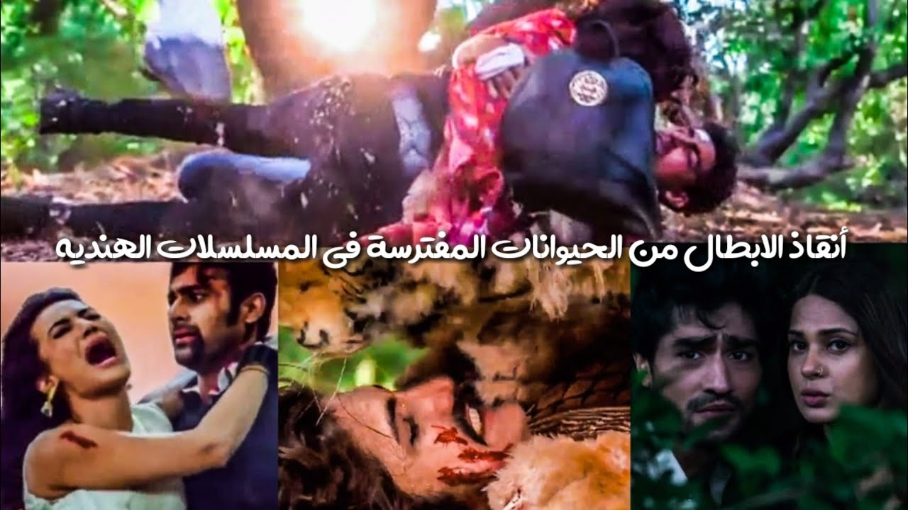هجوم الحيوانات على الابطال في الغابة وانقاذهم في آخر لحظة 😨 في المسلسلات الهنديه لاييييك
