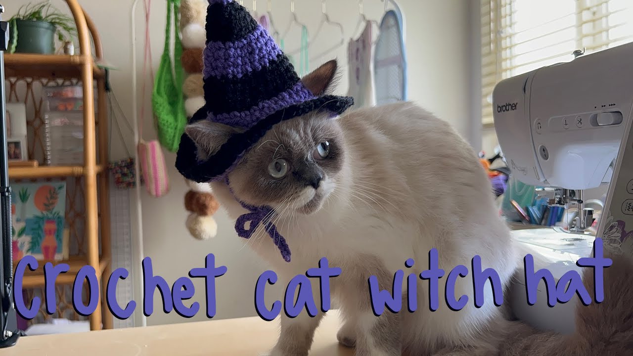 Crochet Witch Hat for Cat Tutorial - Detailed and Beginner Friendly