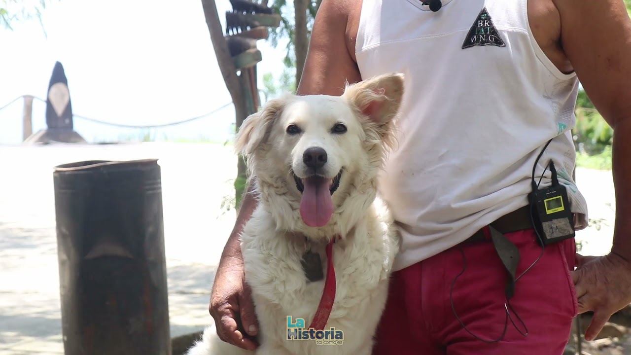 Perfilados: El Santuario Canino de Gustavo