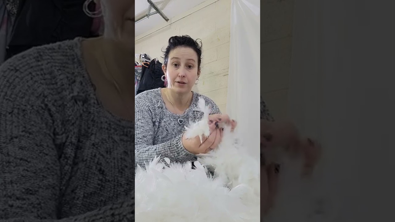 Burlesque Boa Budget hack