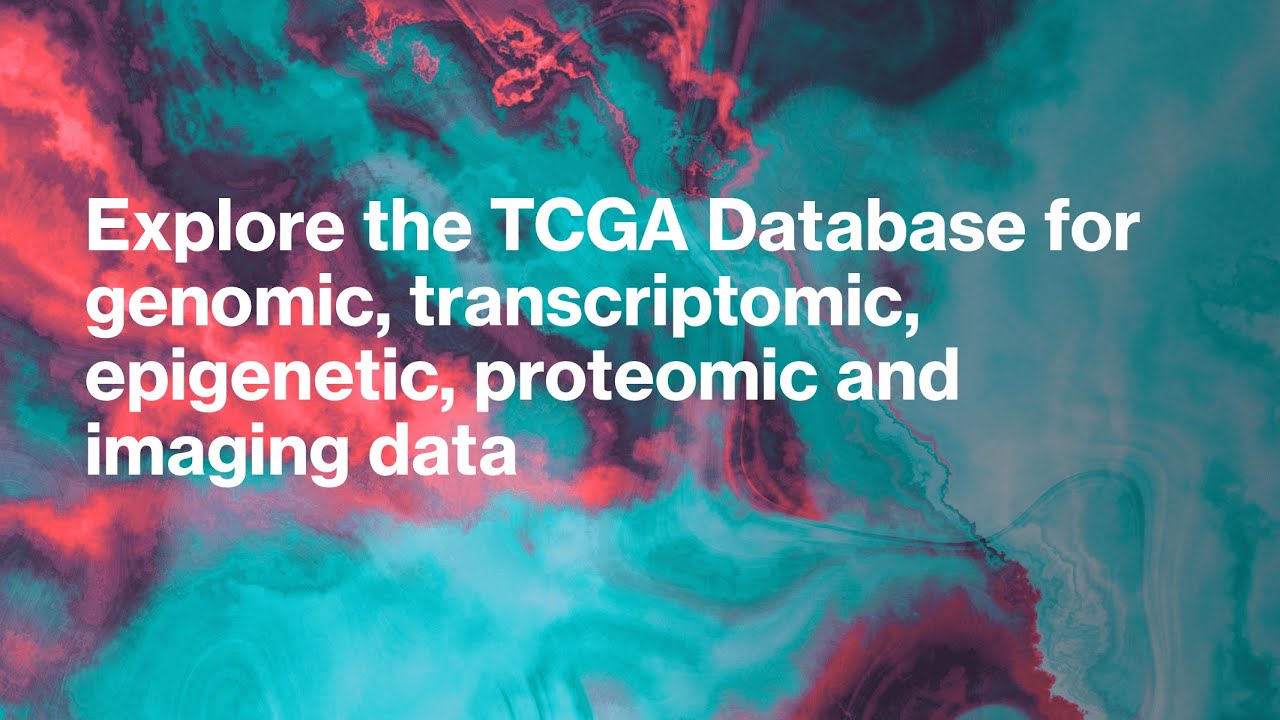 Explore the TCGA Database: Genomic to Imaging Data for Cancer Research