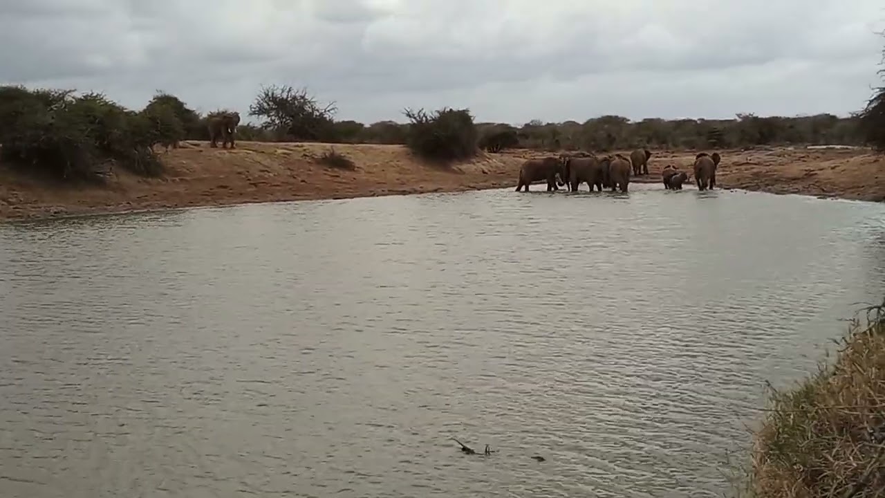 Kasigau wildlife conservancy