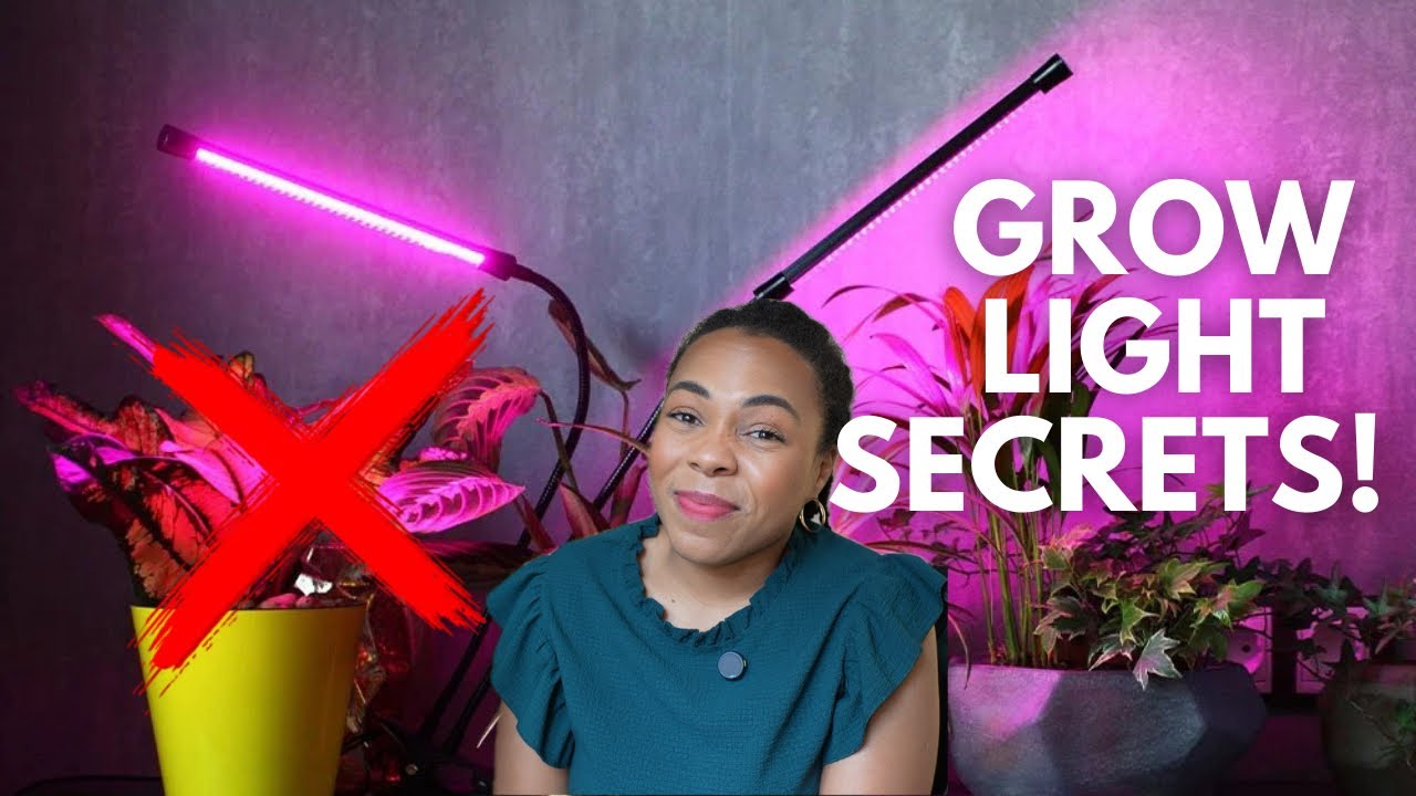 💡Confused About Grow Lights? I've Got You! (🛍️Shopping Tips + Grow light Tour)🌱💡