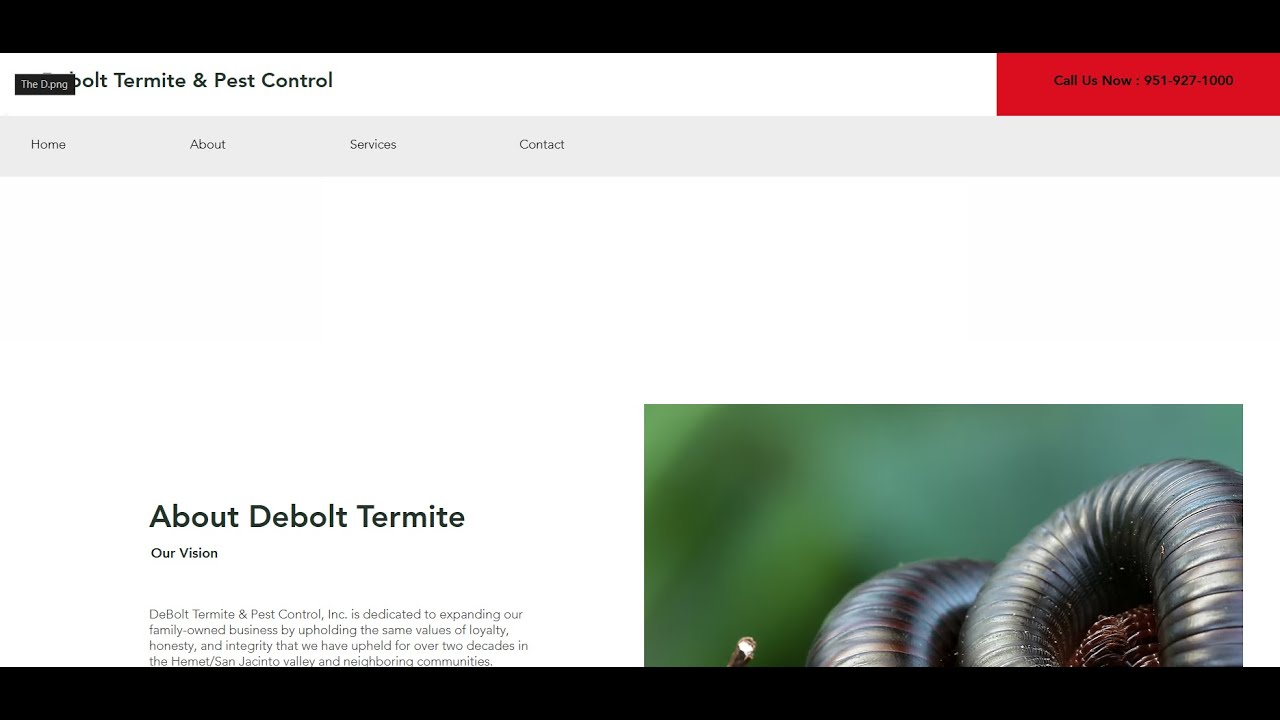 Tips for helping Debolt's Termite and Pest Control boost their online presence