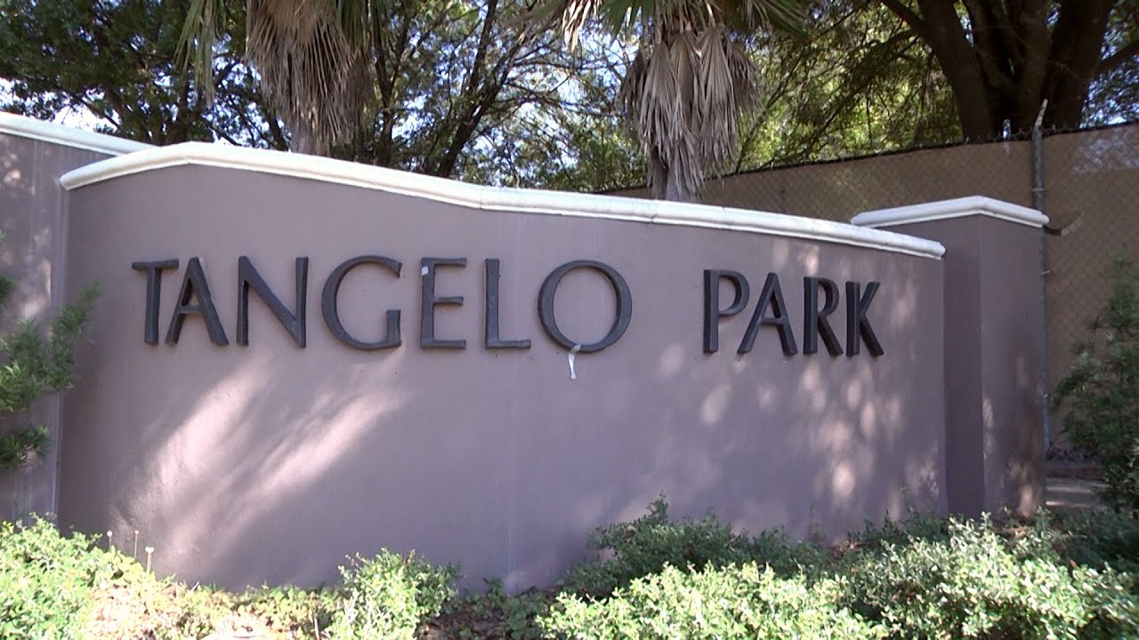 ONE Central Florida Short: Tangelo Park Transformation