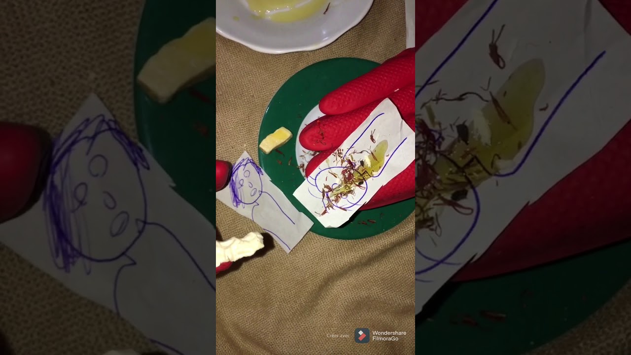 ارجاع الحبيب محبة الابدية