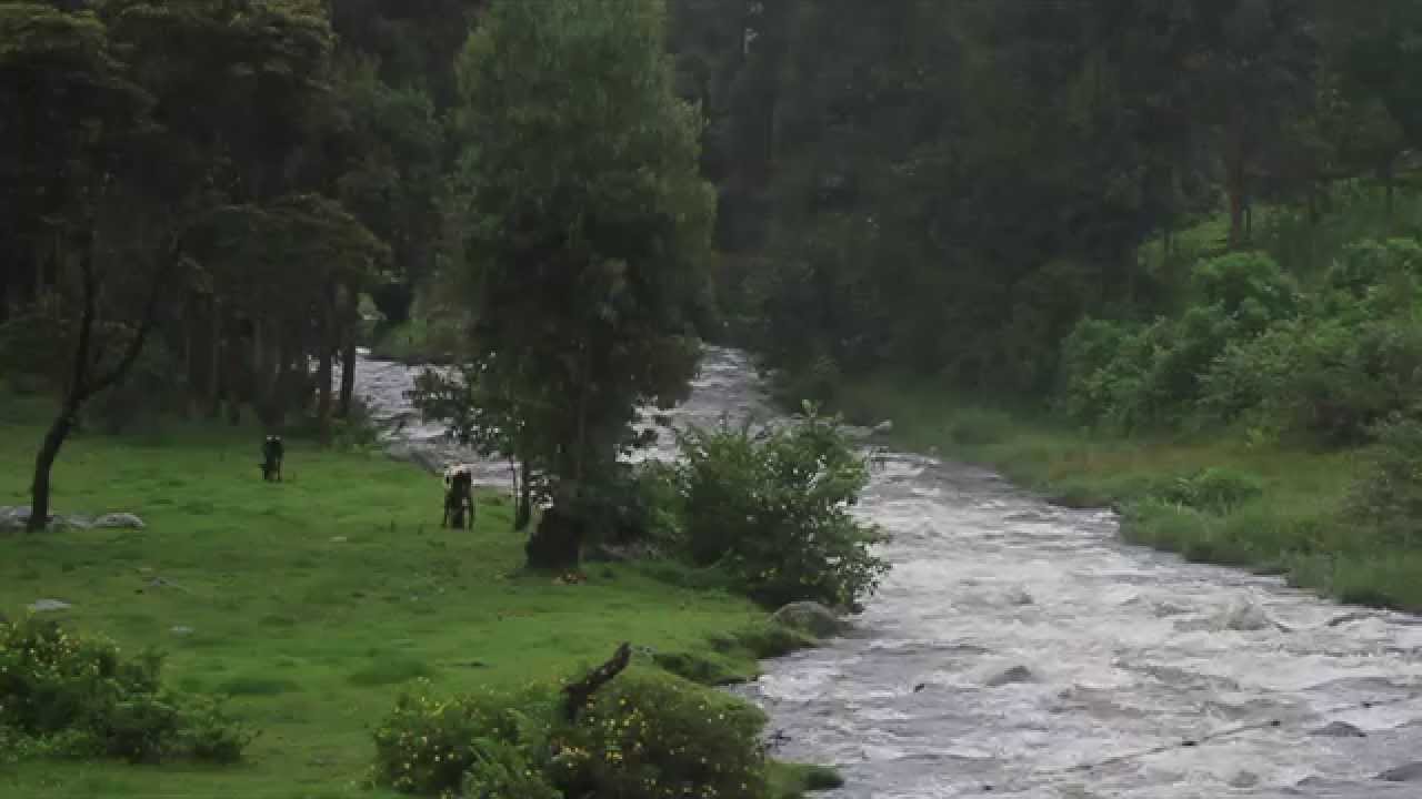 Breathtaking Mountain River in Kenya - Aberdares, Mount Kenya
