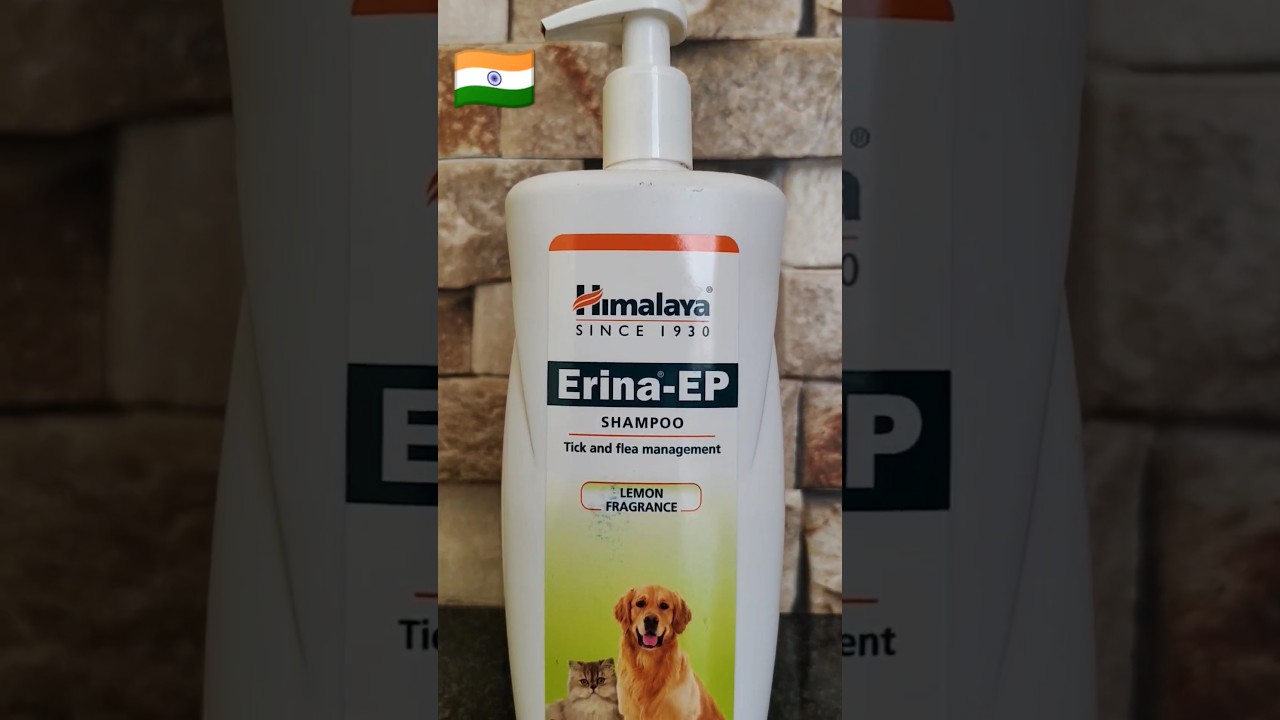 Best Dog Shampoo #dog #dogs #doglover #doglovers #dogshorts #dogsofinstagram #shorts #viral #shampoo