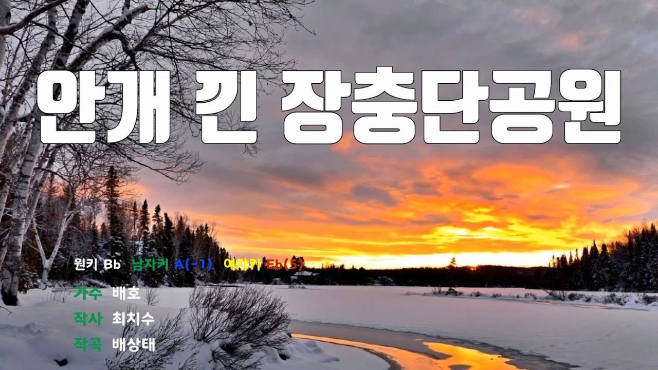 [은성반주기] 안개낀장충단공원 - 배호 /MR/가사