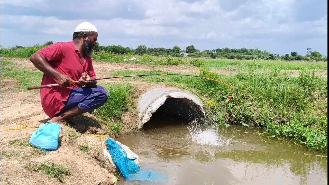 VILLAGE FISHING // CATCHING TILAPIA FISHES WITH MEDIUM SIZE HOOK