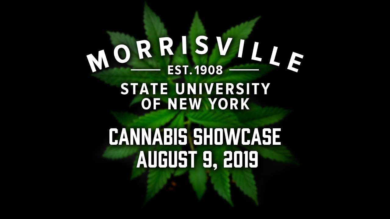 Cannabis Showcase 2019