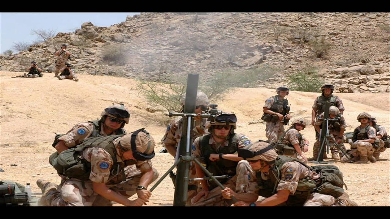 Tribute to the Swedish Peacekeeping forces