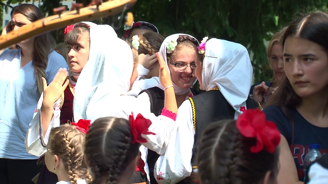 Vidovdanski dani folklora 