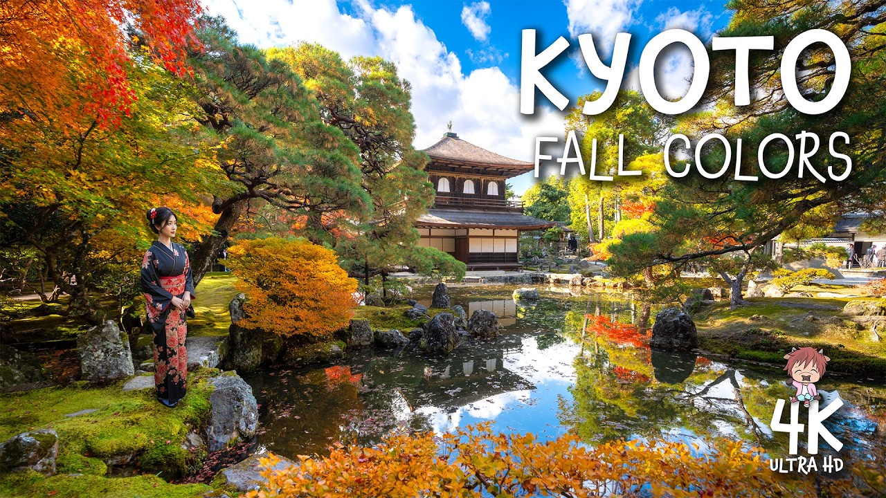 KYOTO, Japan Beautiful Fall Colors 🍁 Peaceful 4K Walking Tour through brilliant autumn foliage