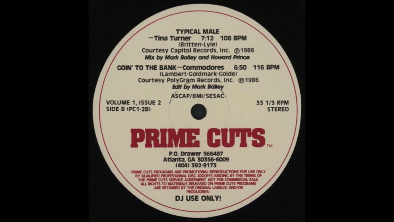 Tina Turner - Typical Male 12