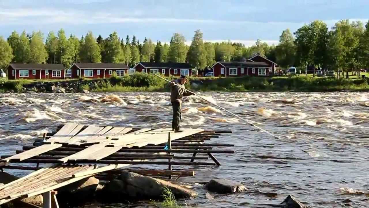Finland, Kukkola, sik fiske med h&aring;v