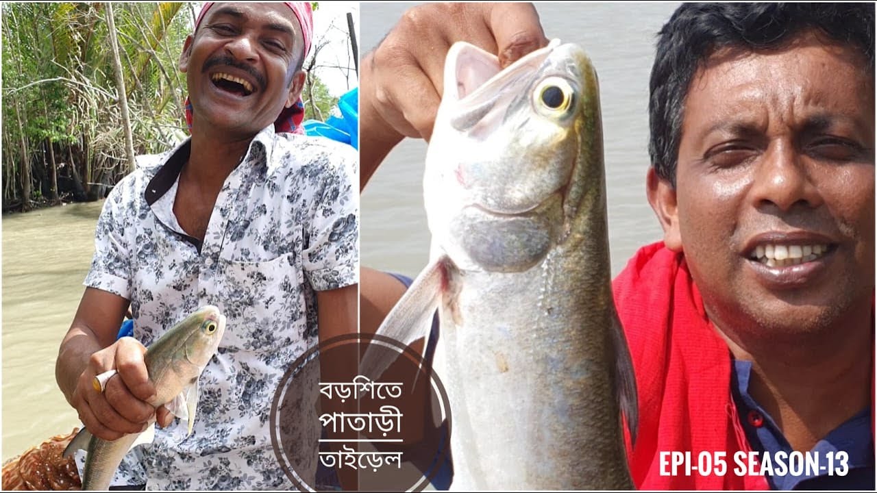 দাওন বড়শিতে ভেটকী-তাইড়েল মাছ | পর্ব ০৪ | সিজন ১৩ | ঘুরবো এবার পূর্ব সৃন্দরবন | Mohsin ul Hakim