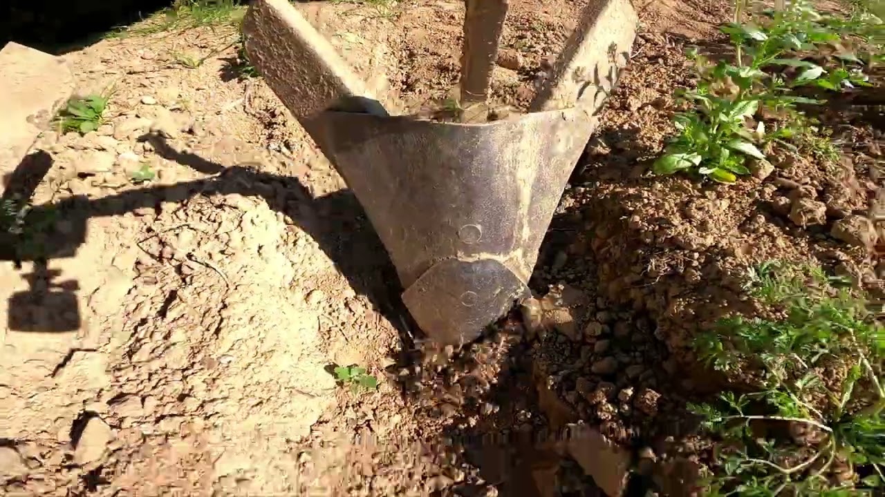 Kartoffelpflege mit dem Fendt GT220