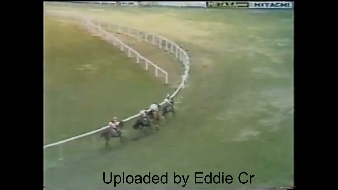 1979 Colt Sigma Aintree Hurdle