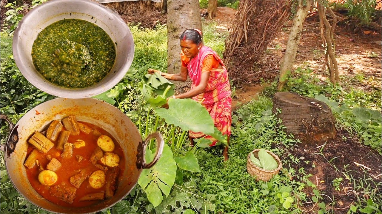 Egg Curry with Raw Banna and Kochu shaker Dal cooking & eating by santali tribe old grandmaa