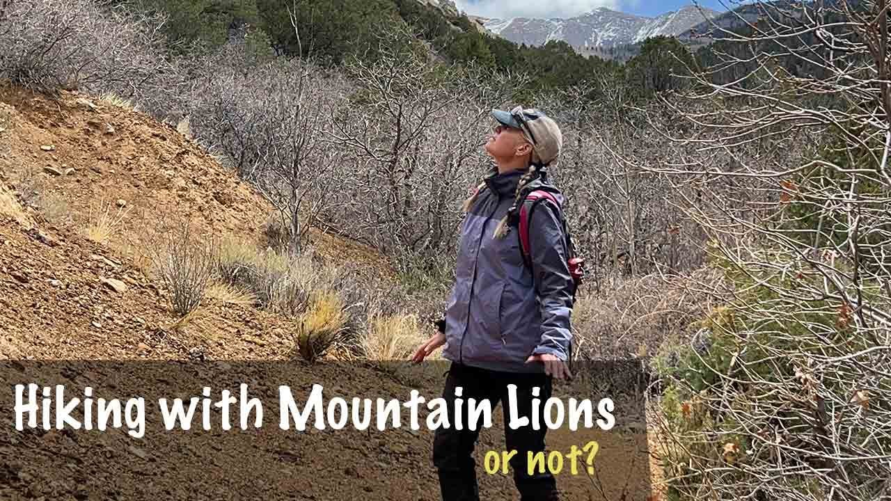 Hiking with Mountain LIONS? Got Scared S9-8