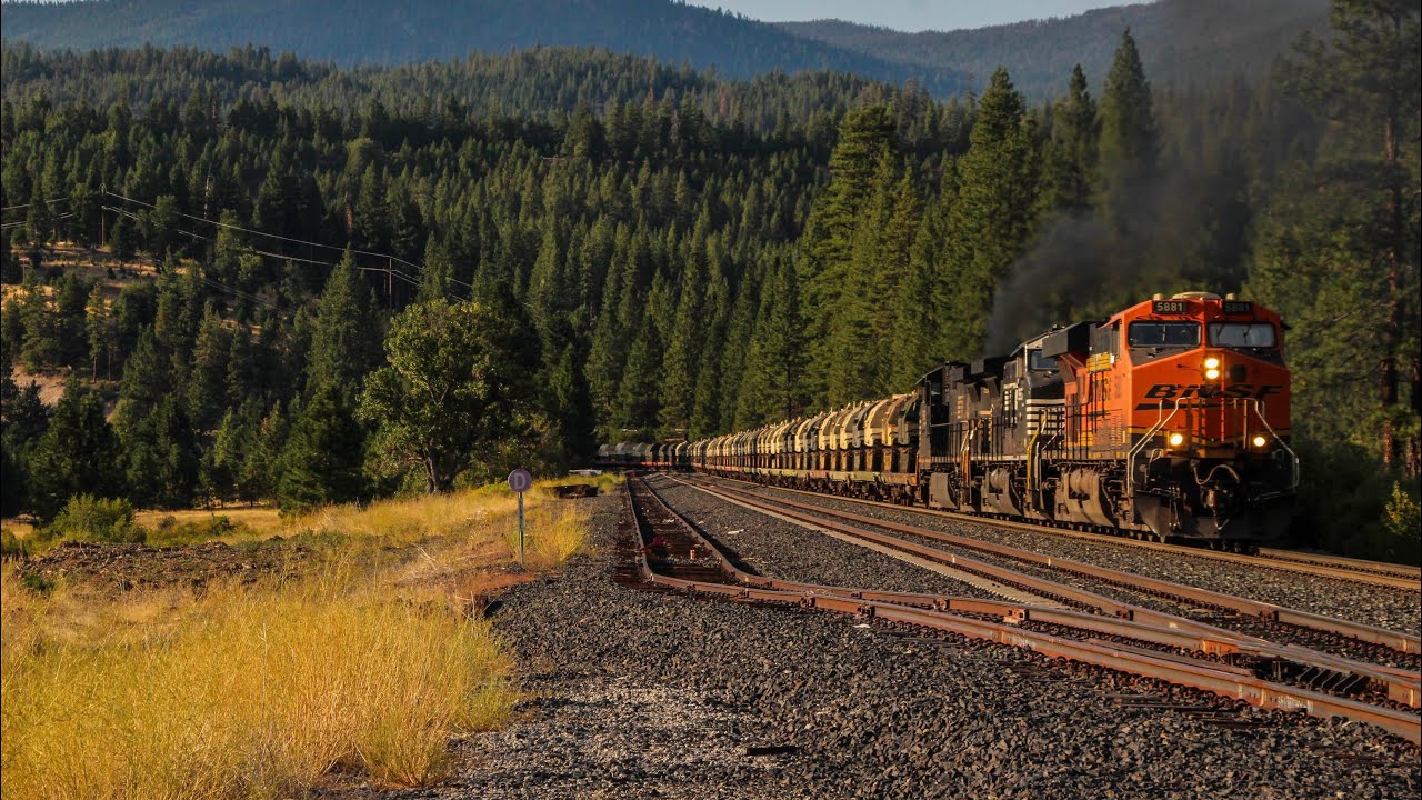 Feather River Canyon! ~ Trains at Virgilia ~ Ft. Military Train, Hornshows and More! Summer 2024