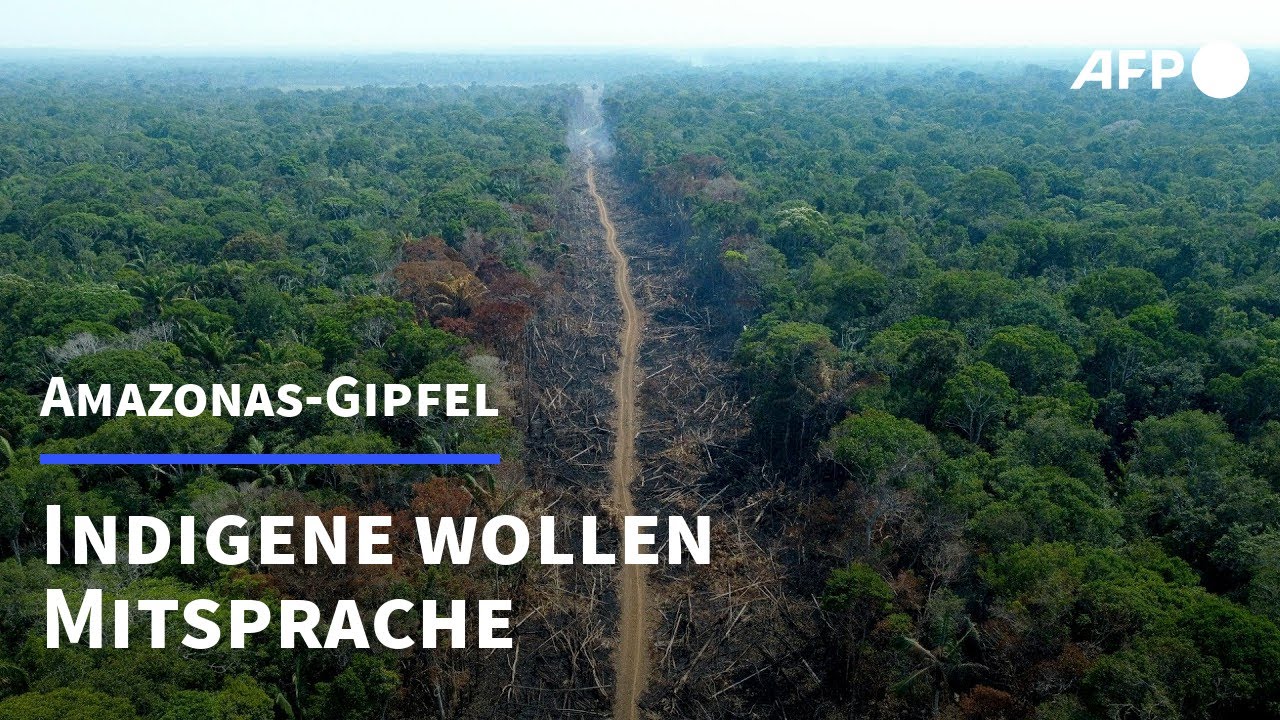 Amazonas-Gipfel in Brasilien: Indigene wollen mitreden | AFP