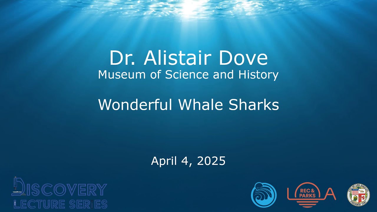 Discovery Lecture Series: Wonderful Whale Sharks