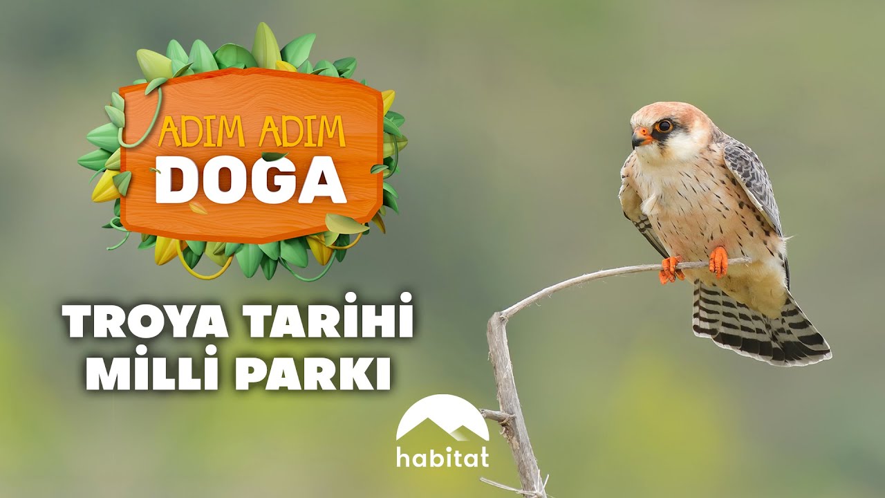 ADIM ADIM DOĞA | TROYA TARİHİ MİLLİ PARKI