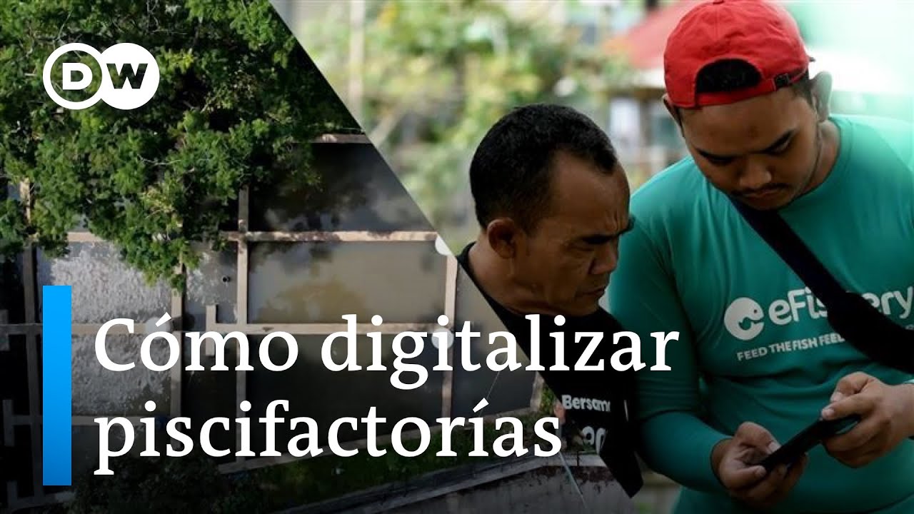 Big Data y la nueva transformación digital de la acuicultura