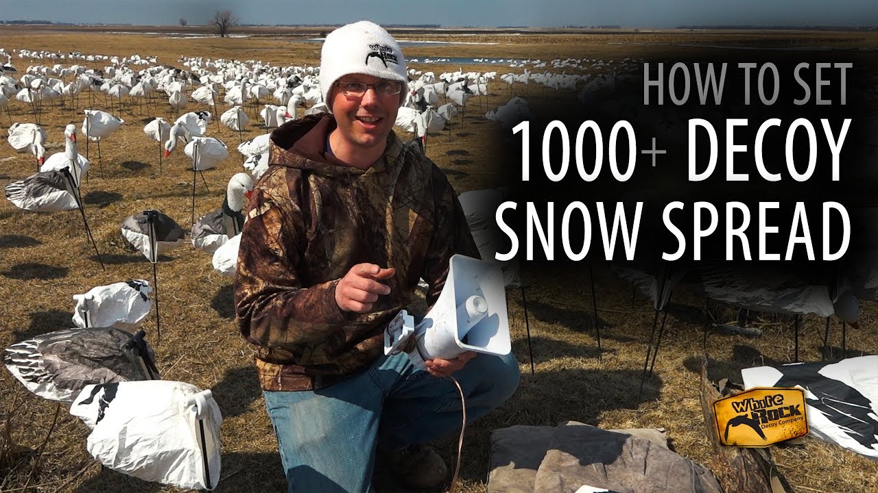 How to Set a 1000+ Decoy Snow Goose Spread