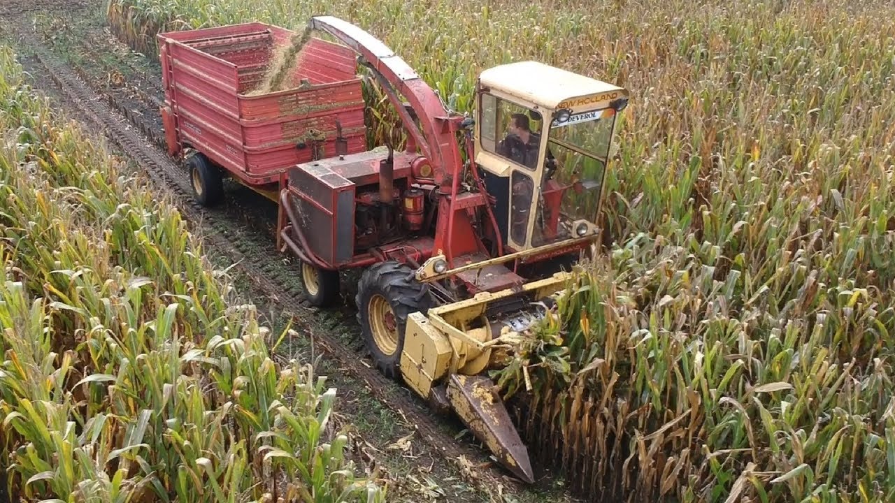 Chopping corn with Oldies!