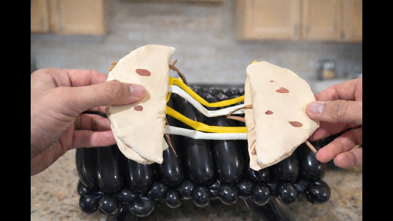 Balloon Cooking ASMR: Beef & Cheese Quesadilla