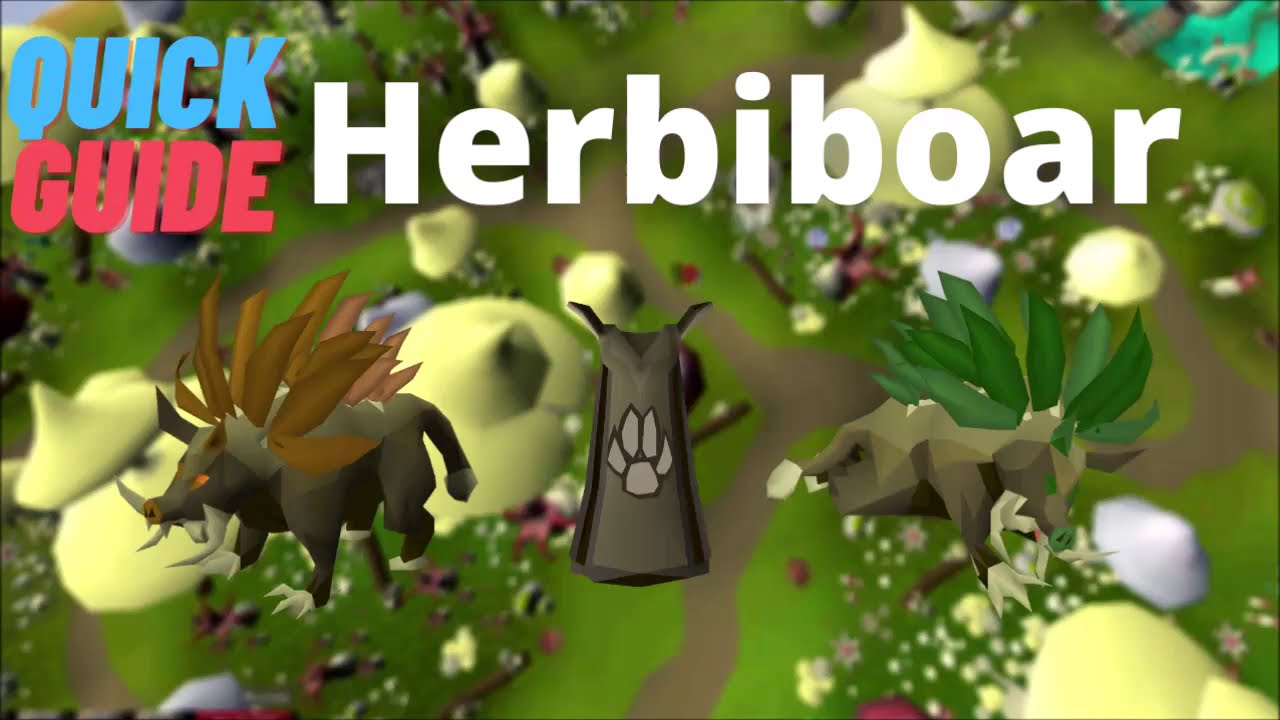 [Quick Guide] OSRS Herbiboar (150k+xp/h)