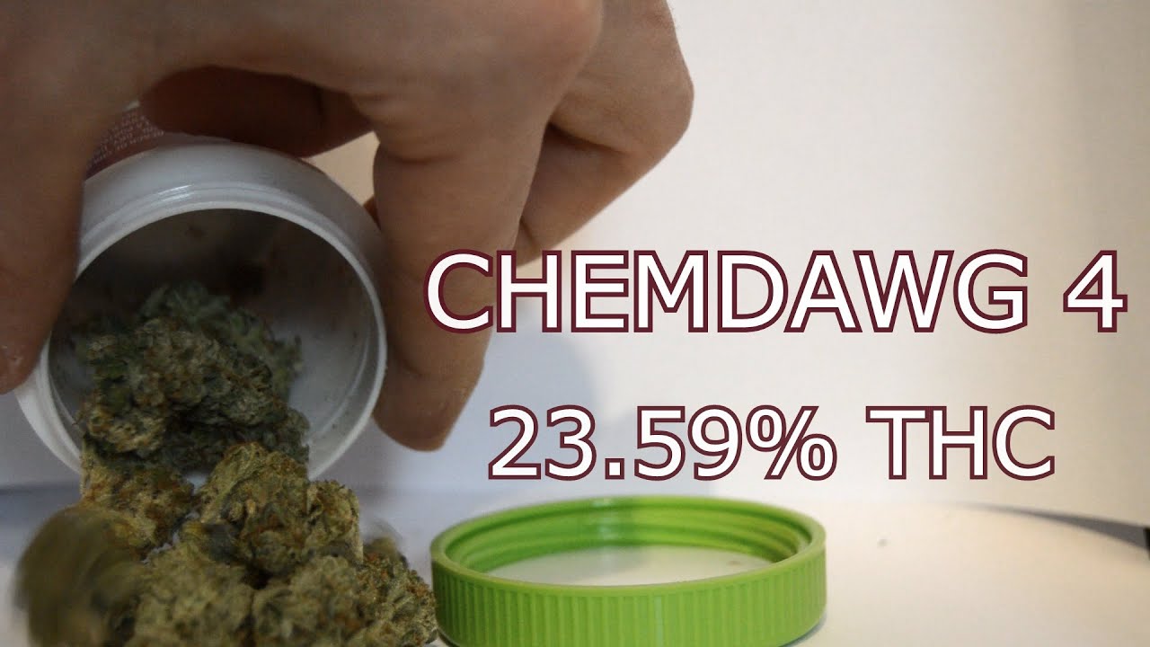 Strain Showcase: CHEMDAWG 4
