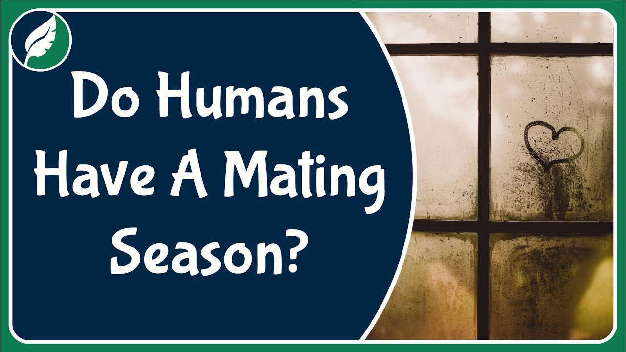 Do humans have a mating 