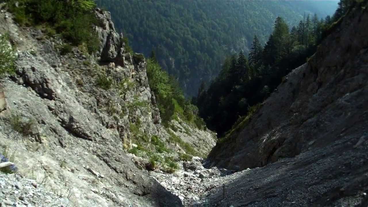 Walderalm 2013