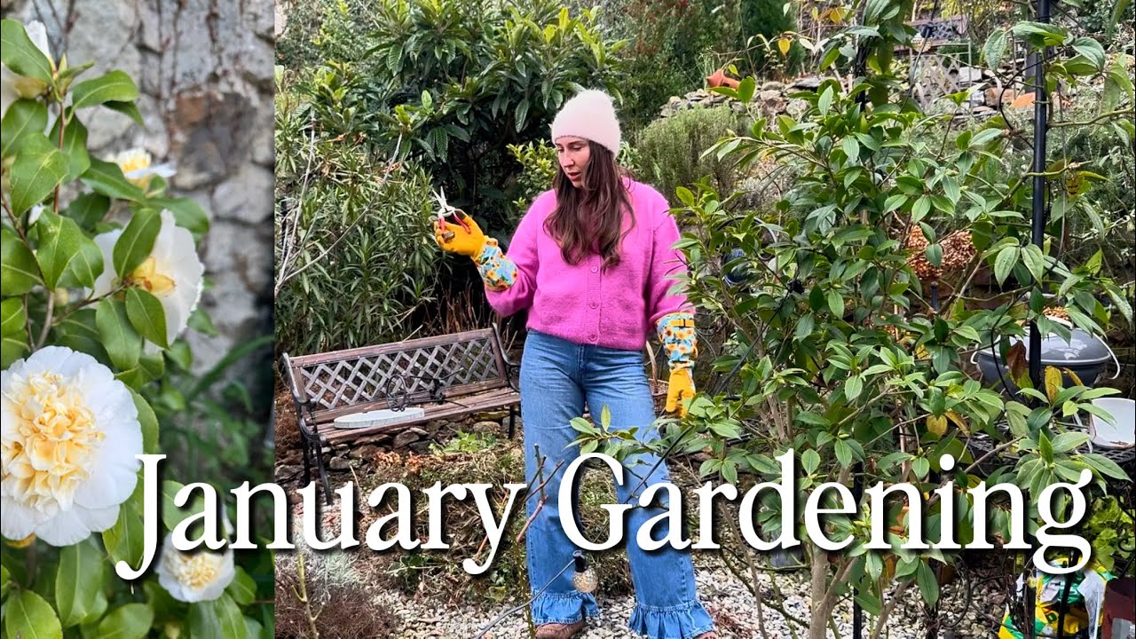 January Gardening 🐸 Our Italian Villa 🏰