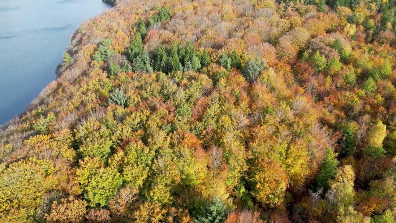 Drone 4k Dollerup Bakker DK Fall 2022 DJI Mini 3 Pro (Ravels Bolero)
