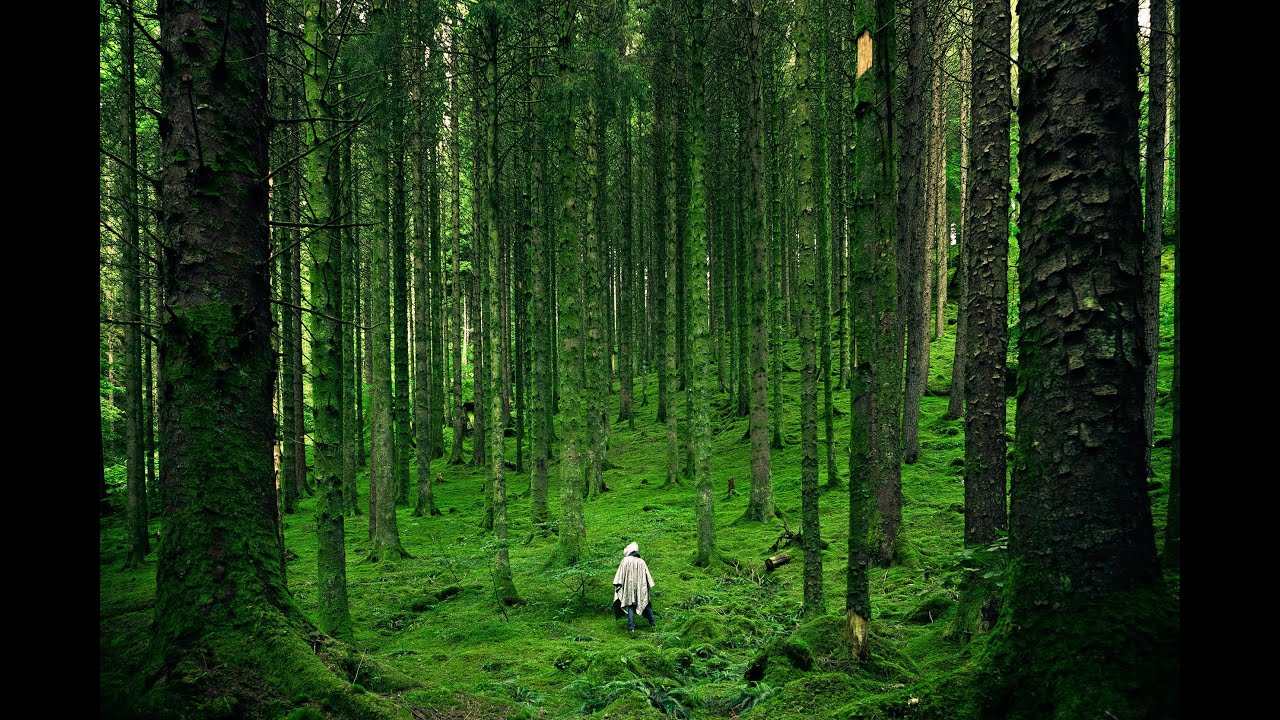 Relaxing Music, Calming Tones, Soothing Music, Relaxation Booster