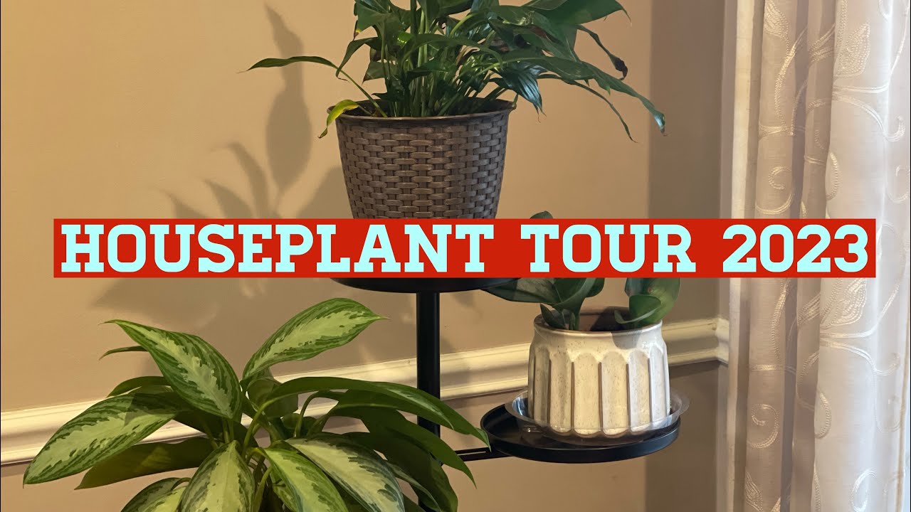HOUSEPLANT TOUR 2023