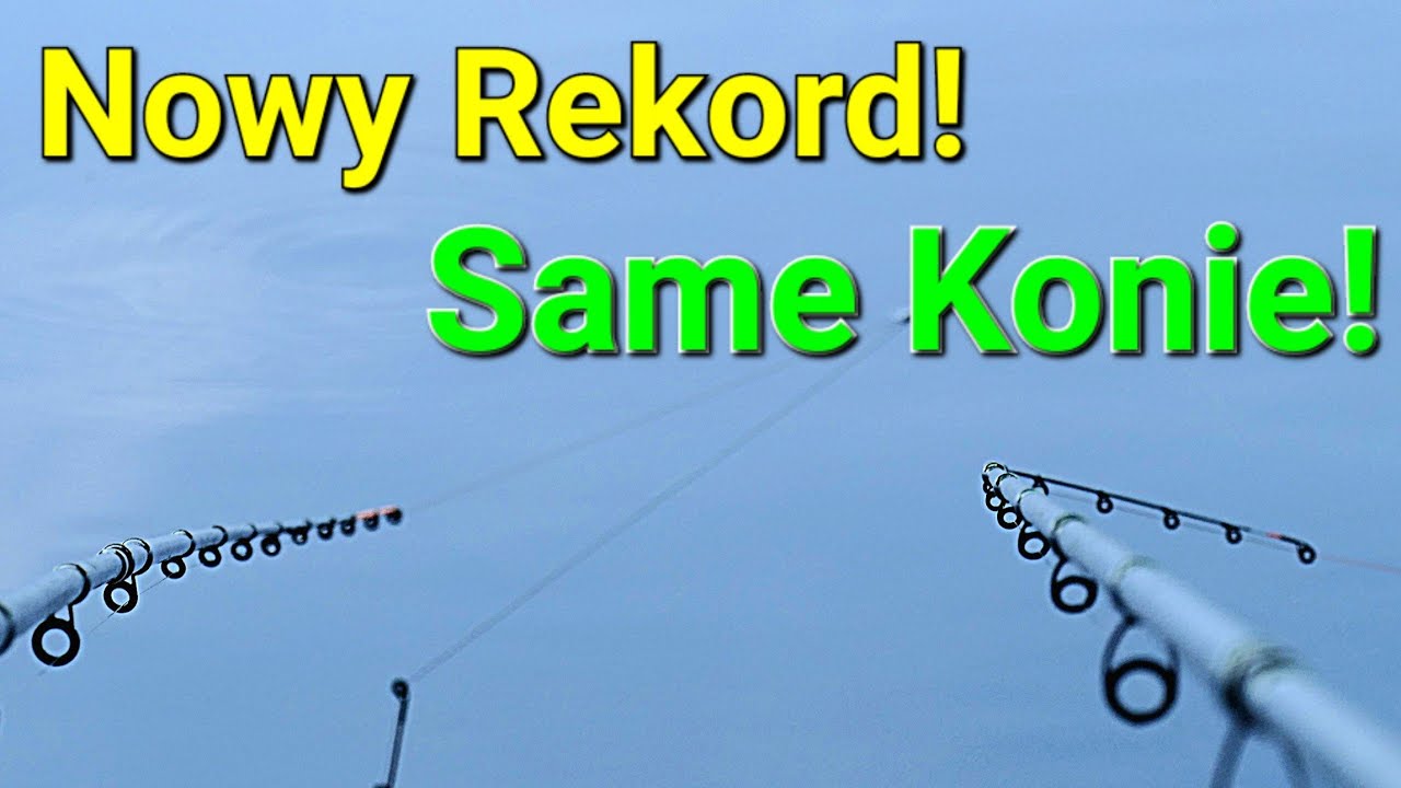 Nowy rekord! Same Konie z Basią! Method feeder na pzw Wędkarstwo feederowe!