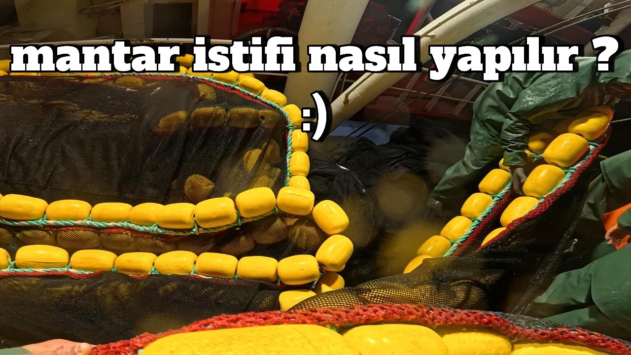 BU MOLA MANTAR İSTİFİNDEYİZ !...