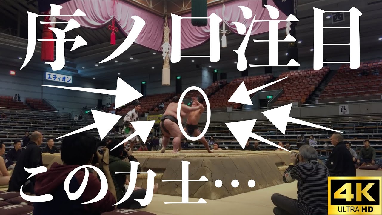 【貴重映像】豊昇龍の序ノ口の取組【大相撲】
