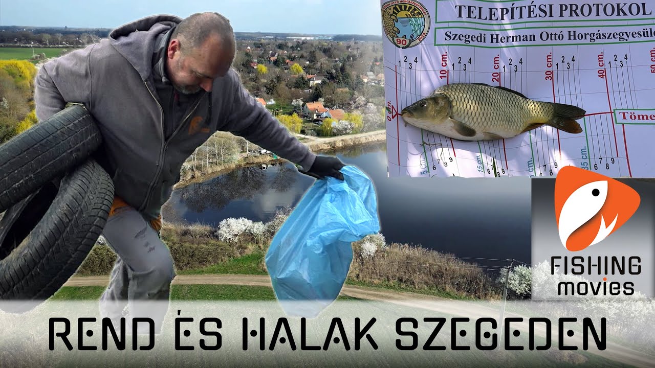Rend és sok hal Szegeden