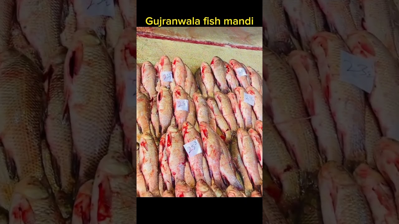 #fyp #viral  #GujranwalaFood #NewFishMarket #WinterSeafood #CulinaryAdventure #streetfooddelights