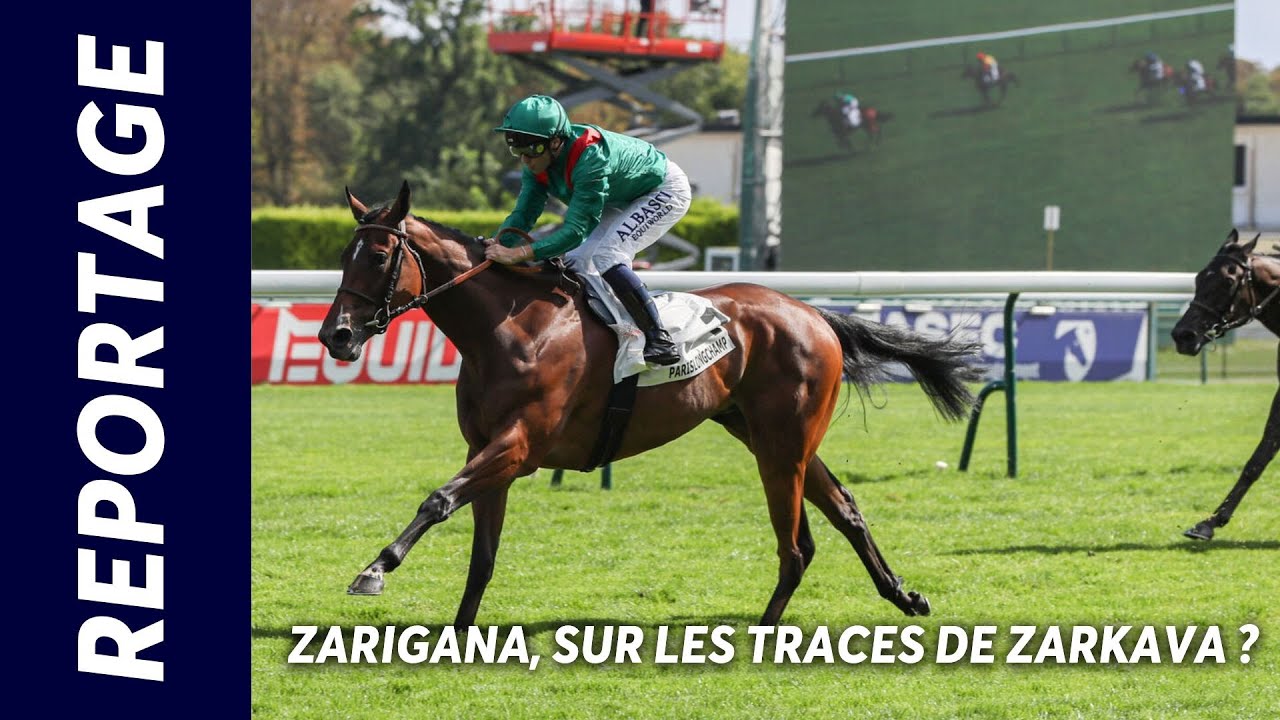 ZARIGANA, SUR LES TRACES DE ZARKAVA ? | Reportage